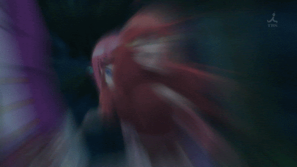 五等分の花嫁 第10話感想 なぜ一花の作画は安定してるのにニ乃は安定しないのか やらおん