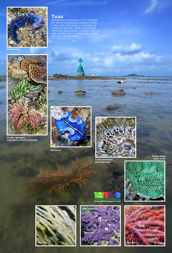 A4 Poster: Tuas, Merawang Beacon