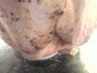 Beer in the Ass of A Chicken