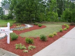 Inexpensive Landscaping