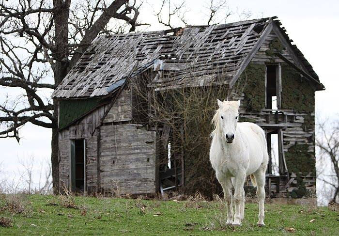 Aren T Old Barns Beautiful There Is Something About Old Barns If The Walls Could Talk That Makes Me Smile And Sigh You Too Horse And Man
