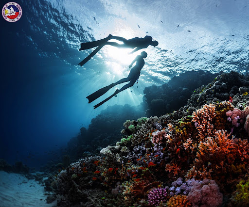 How To Start A Travel Agency In The Philippines