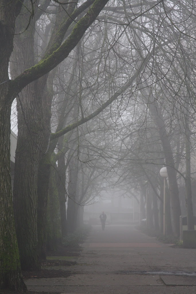 january fog