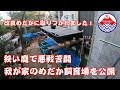 庭 メダカ 飼育 296339-庭 メダカ 飼育