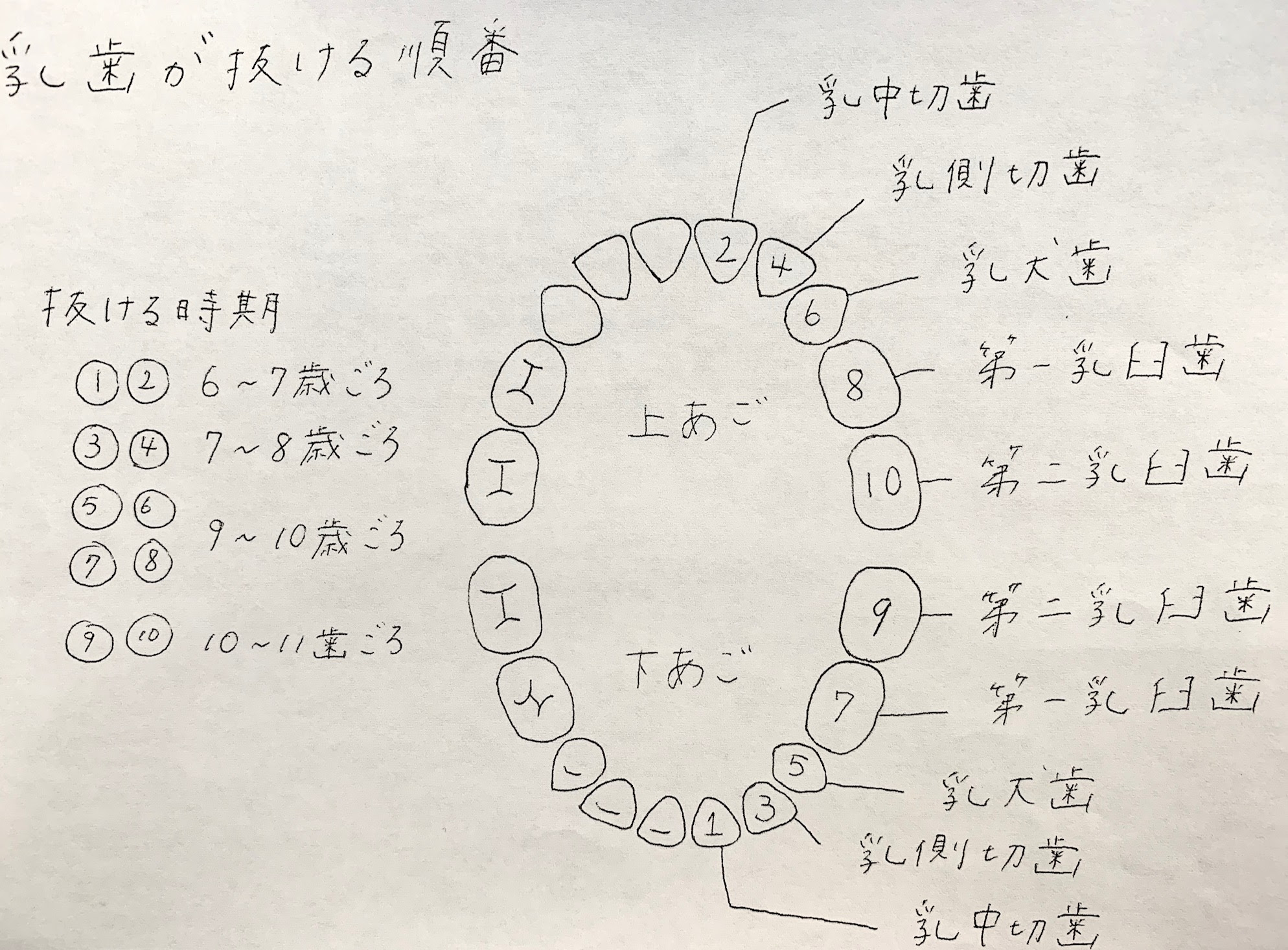 今日はお勉強です 柏原市の歯医者 まえだ大人こども歯科