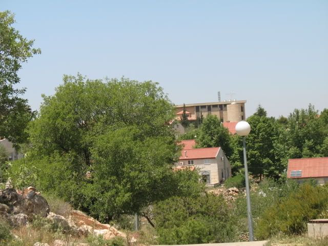 Ofra 6