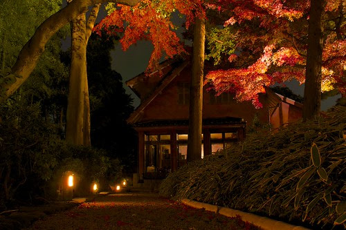 大田黒公園 紅葉ライトアップ