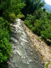stream