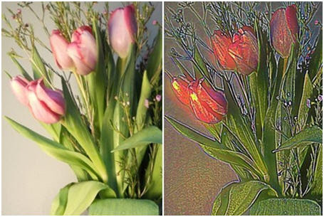 How to Create a Stained Glass Effect with Your Digital Photo and Free 