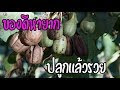 กระเช้าสีดา Ep 7
