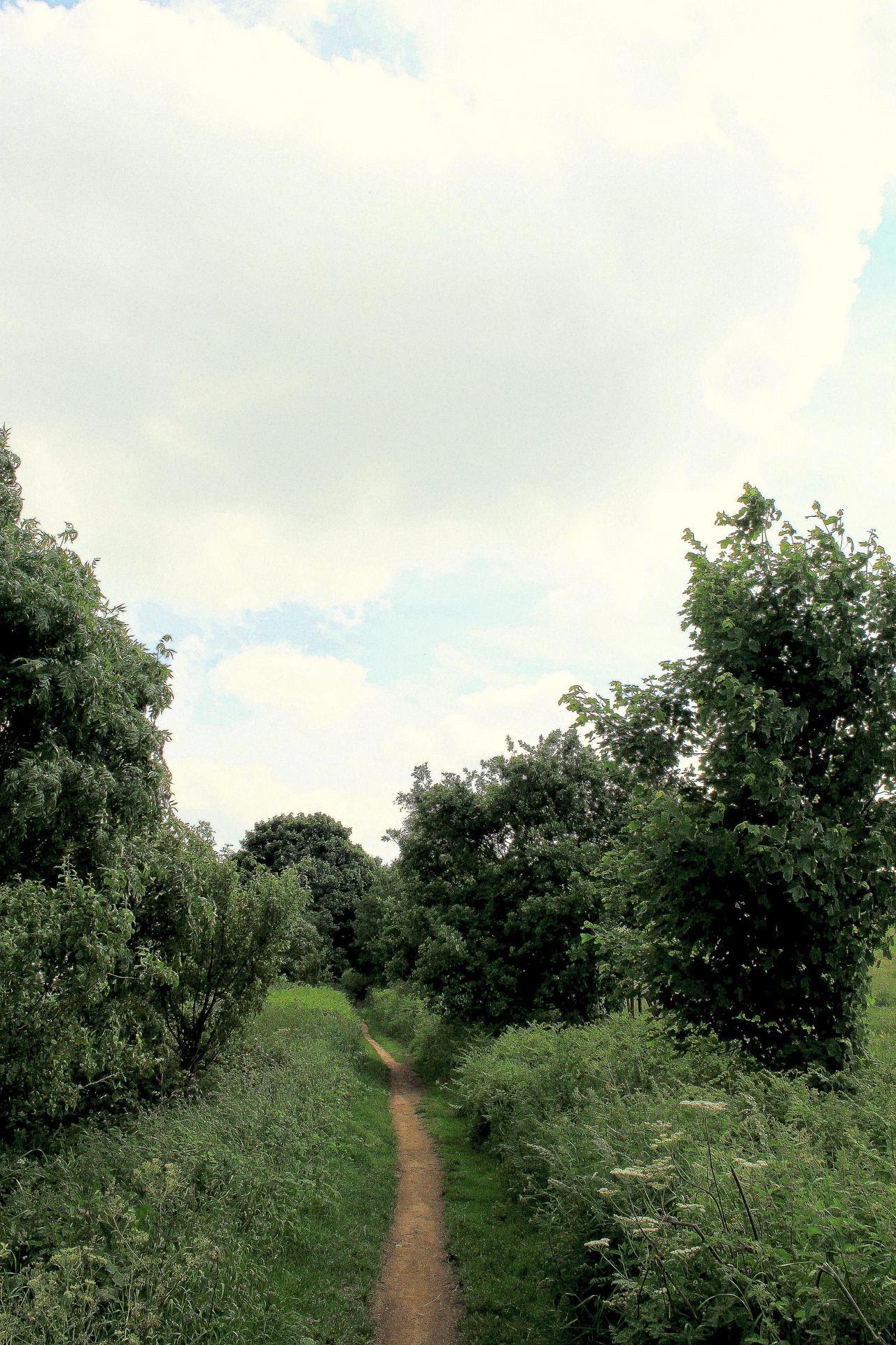 http://24.media.tumblr.com/tumblr_m66jjiI8sD1rw7nhyo1_1280.jpg