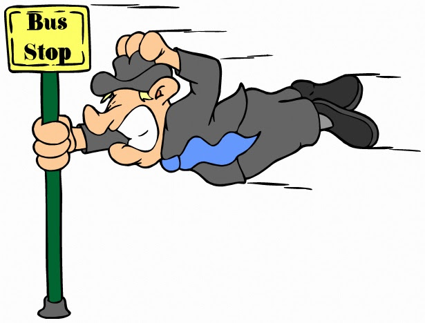 Windy Free Stock Photo - Public Domain Pictures