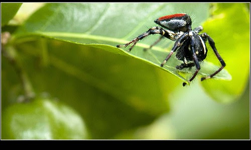 afraid of heights. Afraid of Heights