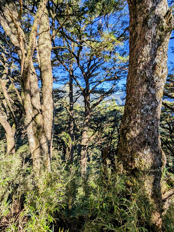 PXL_20241124_005957943~2