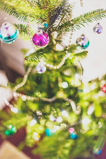 How to Care for a Freshly Cut Christmas Tree