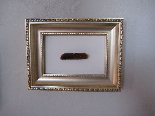 Baldwin Octavius Chevalier, Esq.