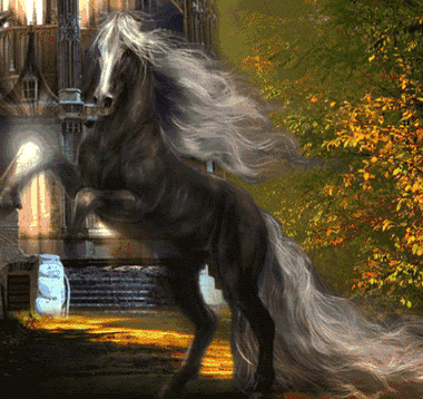 Animaux - Cheval crinière au vent