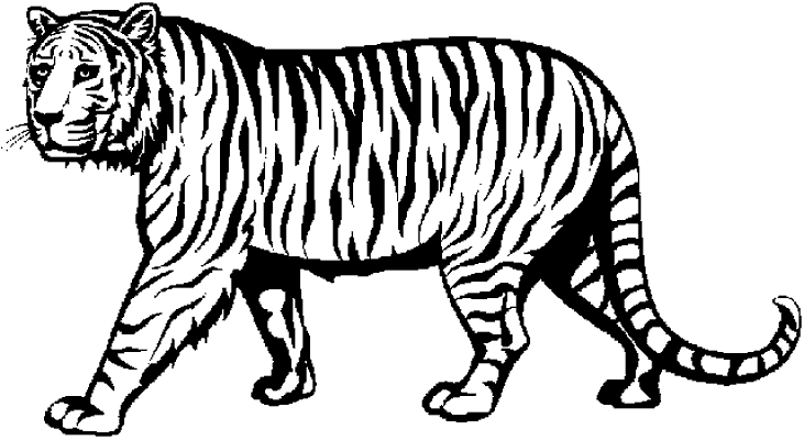 Tijger Kleurplaat