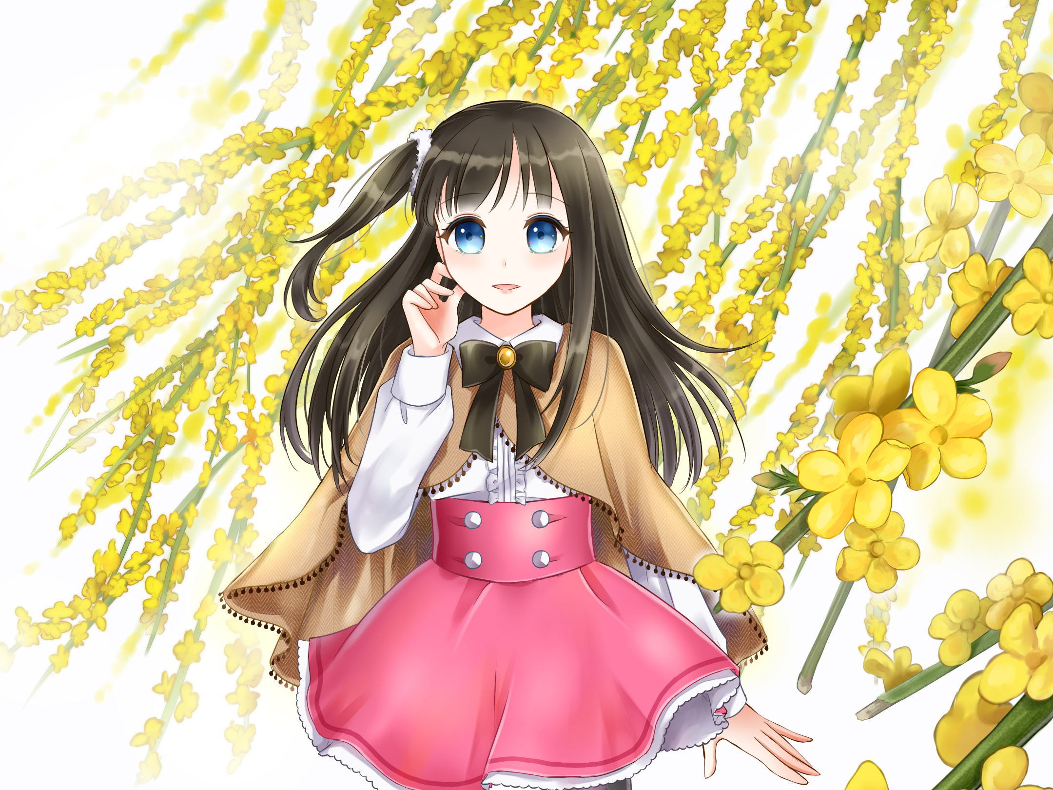 ２月２０日 黄梅 おうばい ３６６日への旅 誕生花編 今日は誕生花