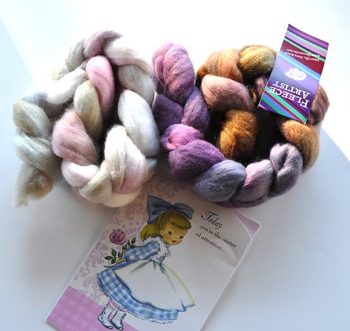 Hannah's b-day gift-Fleece Artist fiber-1