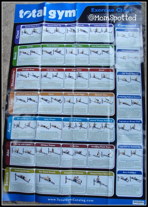 total gym exercises