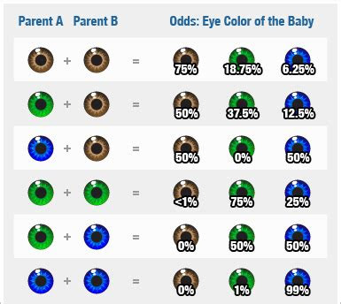  annies health calculate your childrens eye color