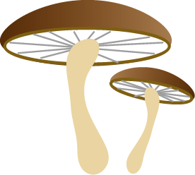 キノコのイラスト 秋のイラスト 無料イラスト フリー素材