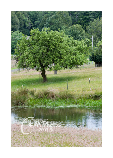 June2109_0046ew
