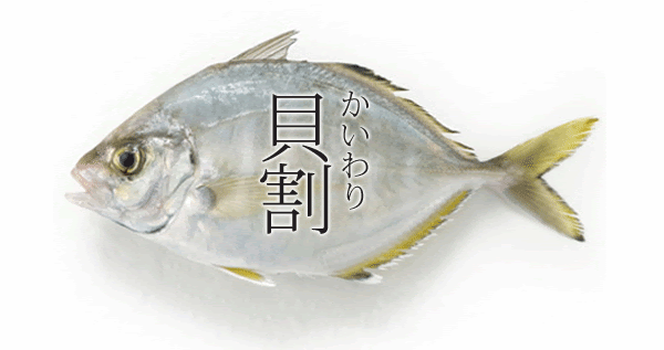 海水魚07 アジ カイワリ さかなや魚介類図鑑ブログ