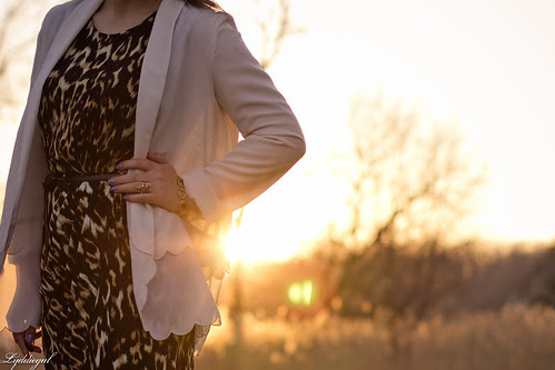 scalloped leopard.jpg