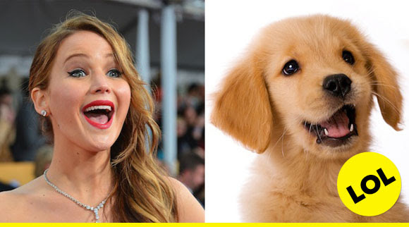 Jennifer Lawrence is this adorable puppy.
