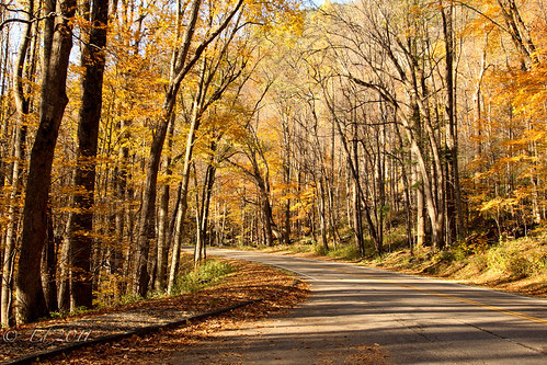 Driving thruough the colors by photomyhobby