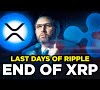 Why Did Xrp Crash Today : Serious Crypto Washout Warning As Massive 300 Billion Price Flash Crash Suddenly Tanks Bitcoin Ethereum Ripple S Xrp And Cardano - By today's standards, xrp ledger (xrpl) has limited capabilities, which gets in the way of adoption among retail users.