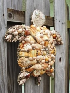 40 Sea Shell Art and Crafts Adding Charming Accents to Interior Decorating