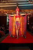 miss earth 2011 national costume competition colombia andrea devivo