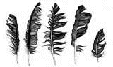 Page Graphics