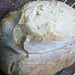 pane al taleggio