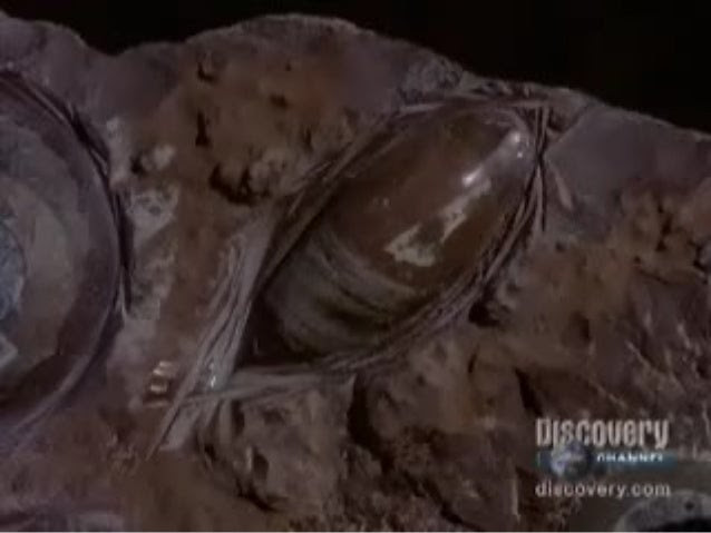 Kehidupan pra aksara di indonesia