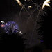 Disneyland day 5 - Fireworks 14