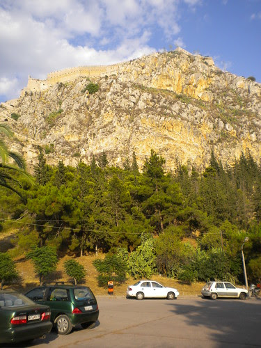 DSCN7696