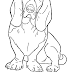Coloring Pages Dog Breeds - Buchsammy / getty images running can be a great way for dogs to burn off excess energy and stress.
