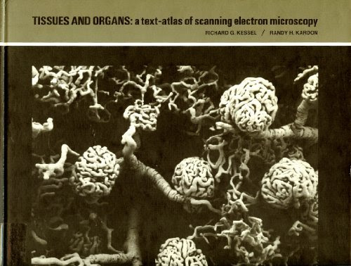 Tissues and Organs: Text Atlas of Scanning Electron Microscopy, by Richard G. Kessel, Randy H. Kardon