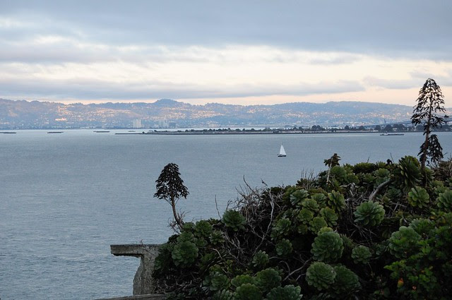 DSC_2983.jpg