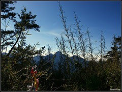 DSC08264