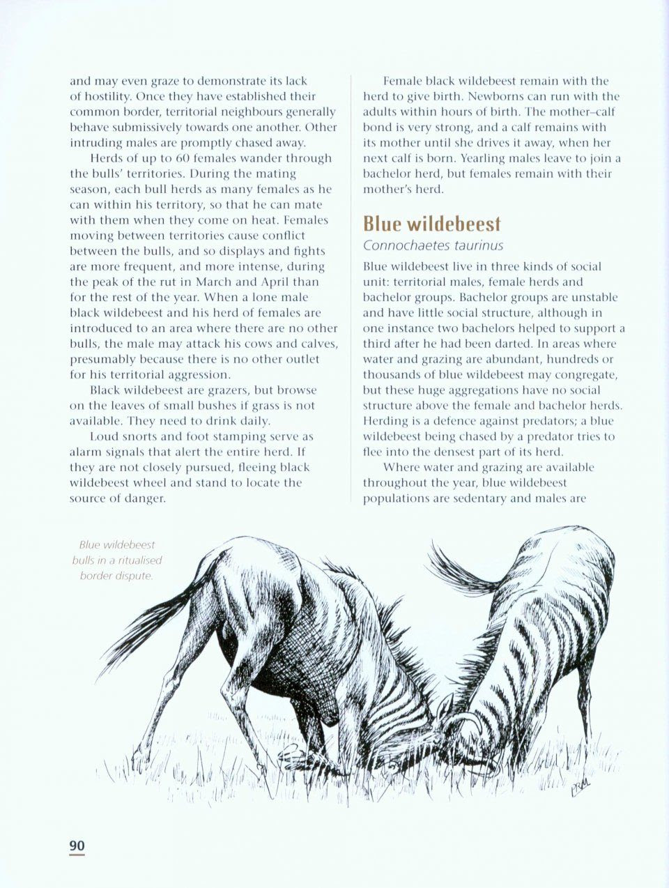 Wild Ways Peter Apps Penny Meakin Nhbs Book Shop