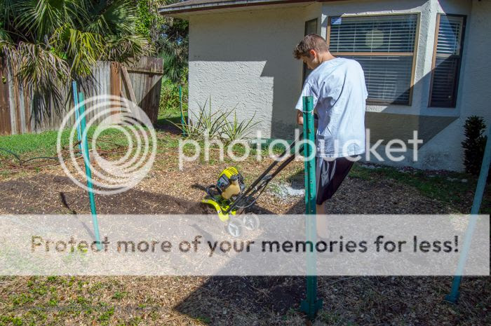  photo DSC_0001-1-1.jpg