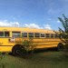 tiny home bus conversion, tiny house, tiny home, bus home, bus renovation, tiny home renovation, turning bus into a tiny house, stephanie adams, school bus conversion, tiny home school bus