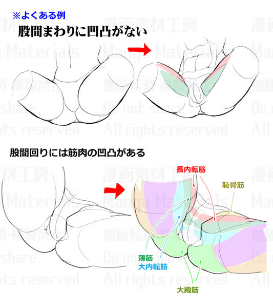 尻股間周りの描き方 違和感と修正法 Pixiv年鑑 B