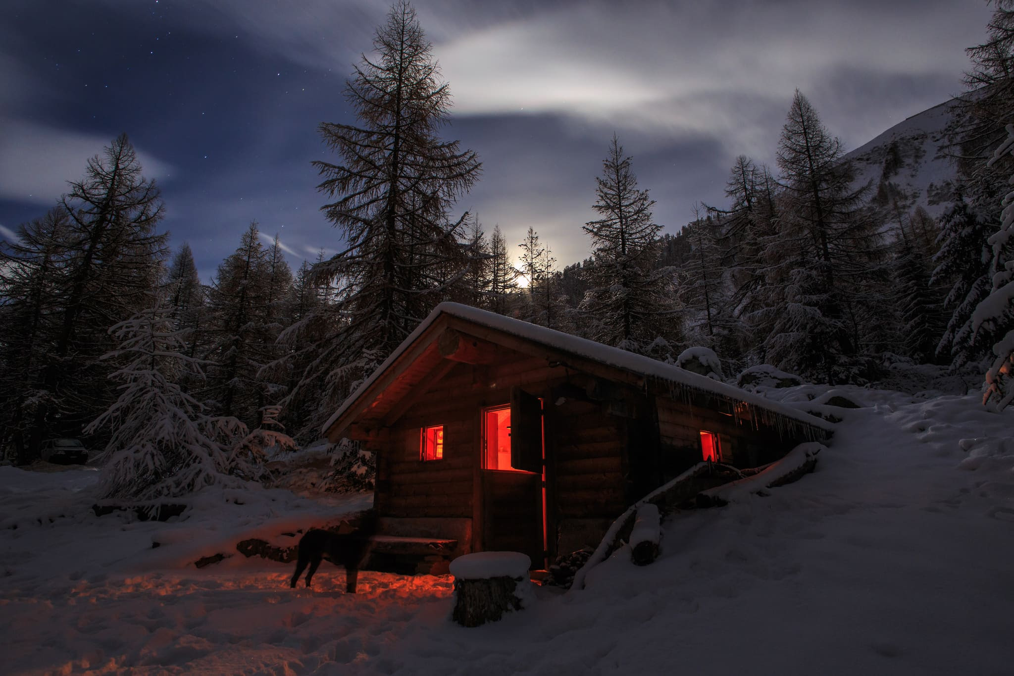 cozy cabin in the woods