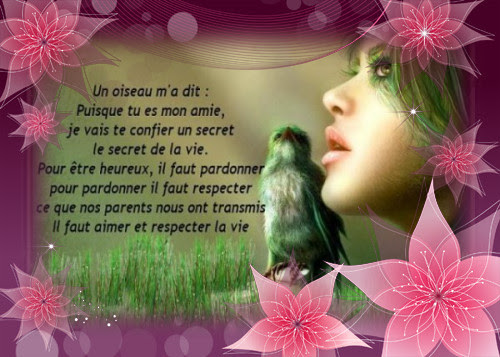Citation Et Encadrement